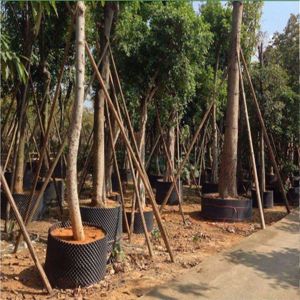 Grow Container Garden Tree Bon - Garden Tools 评论和价格
