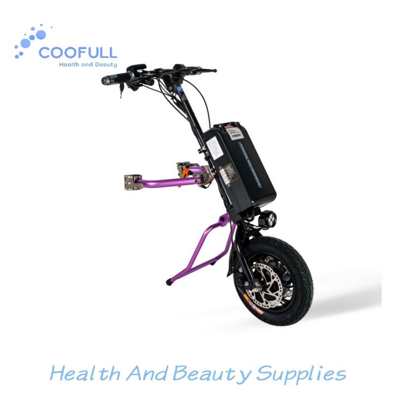 Coofull Heibao  350W 48V 15Ah  - Electrical 评论和价格